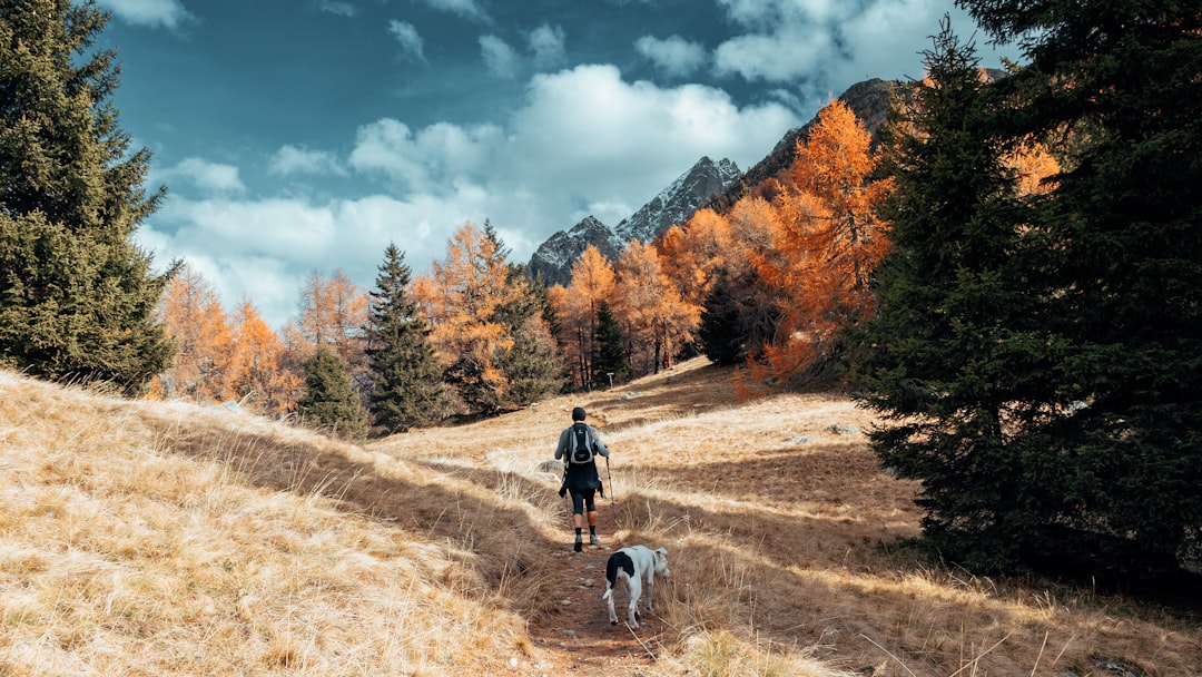 The Art of Slow Travel: Finding Joy in the Journey