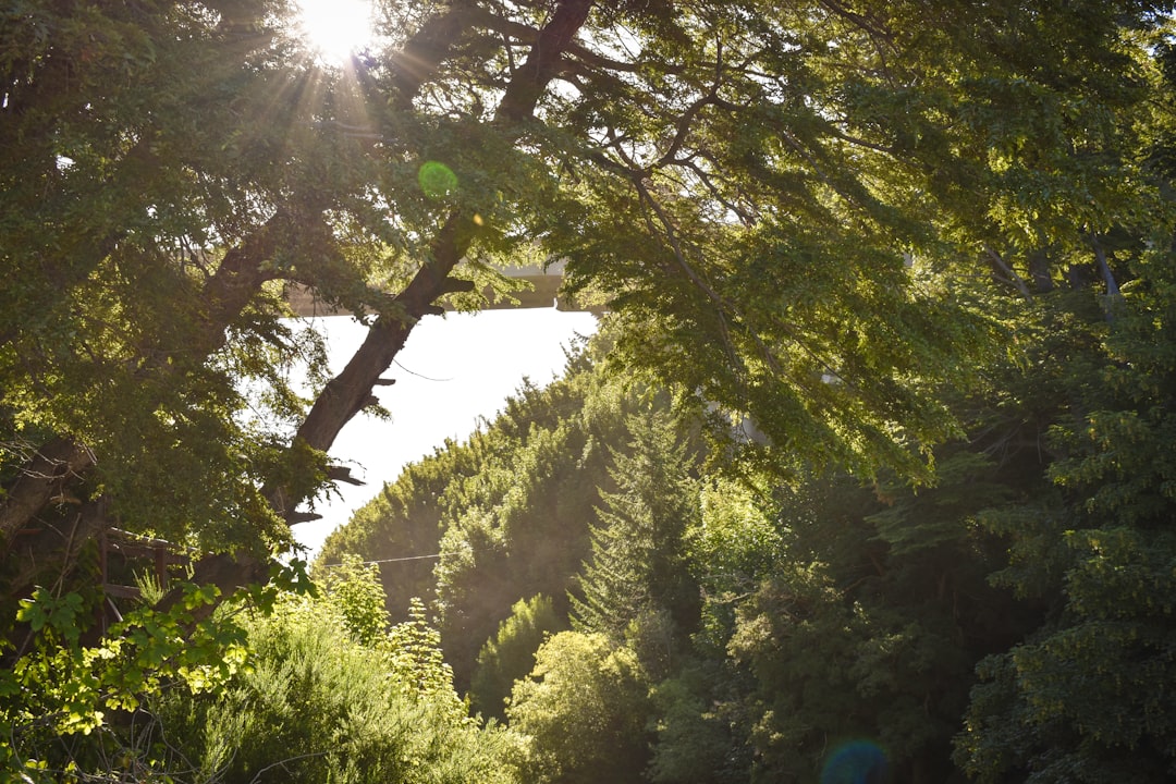 The Art of Slow Travel: Embracing the Journey